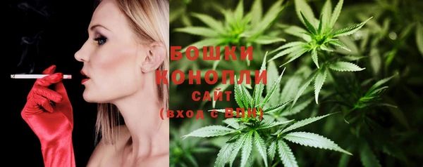 стафф Беломорск