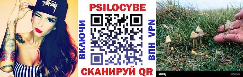 где продают наркотики  Дигора  Псилоцибиновые грибы GOLDEN TEACHER 